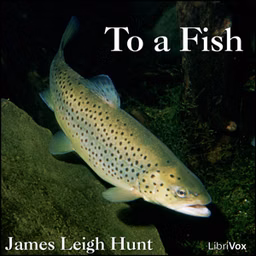 To a Fish