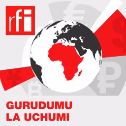 Gurudumu la Uchumi
