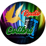 RadioColibri