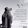 O Impulso de Voar...