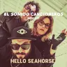 Hello Seahorse! | El Sonido: Cancioneros — 20 años de música alternativa y Montaña, su nuevo álbum