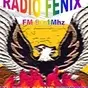 FM Fenix 91.1 Embarcacion