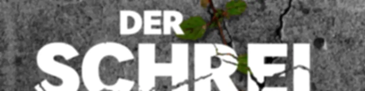 Der Schrei – Der rätselhafte Fall Rafael Blumenstock