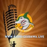Trzy Pytania dziś - Zmiany w regulaminie sportowym PZW