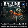 S08E20 Passion Océan 3/4 : Hallucigenia et autres créatures bizarrissimes (Bruno David)