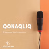 Qonaqlıq | Süleyman Sani Axundov