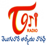 TORI TeluguOne Radio On Intern