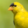Questions That Get Kids Curious About Nature