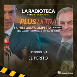 3/4 - El perito