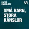 Så förstår du det lilla barnets stora känslor