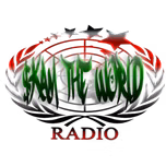 SKAM THE WORLD RADIO