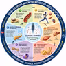 EP-315| Glucose Overload: From Sugar to Fat 🩸🩸Glucose 🩸🩸 বেশি হলে: Sugar থেকে Fat কীভাবে বাড়ে?| wellness podcast