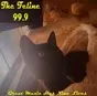 The Feline 99.9 This Kitty Rocks