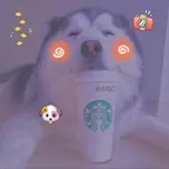 aaaaaaaaa