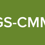GS-CMM