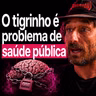 Neurocientista Alerta: O Cérebro Pobre é Mais Vulnerável à Aposta - Fabio Perin