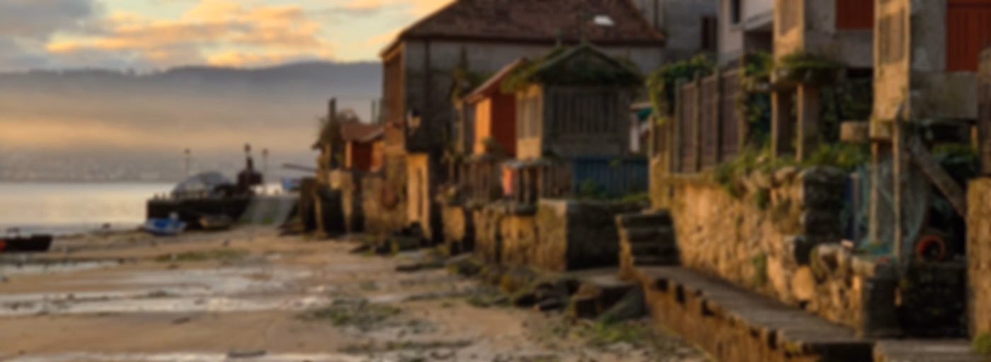 Os cantos do vagalume