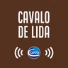 Cavalo de lida #04 Feridas e manqueiras