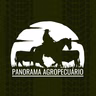 Panorama Agropecuário | 01.03.25